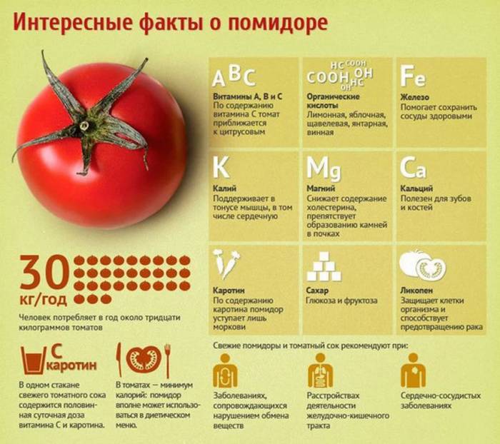 Интересные факты о помидоре