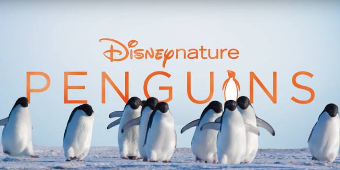 Пингвины Disneynature