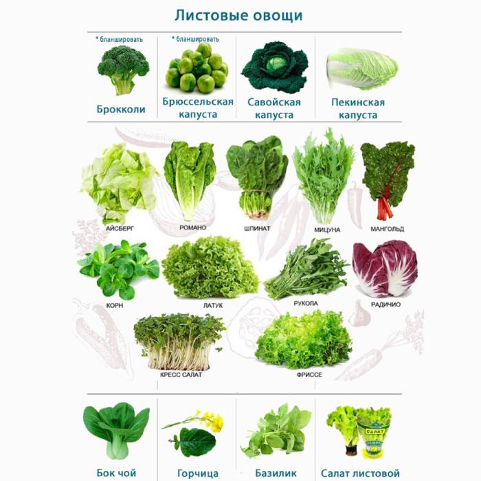 Листовые зеленые овощи