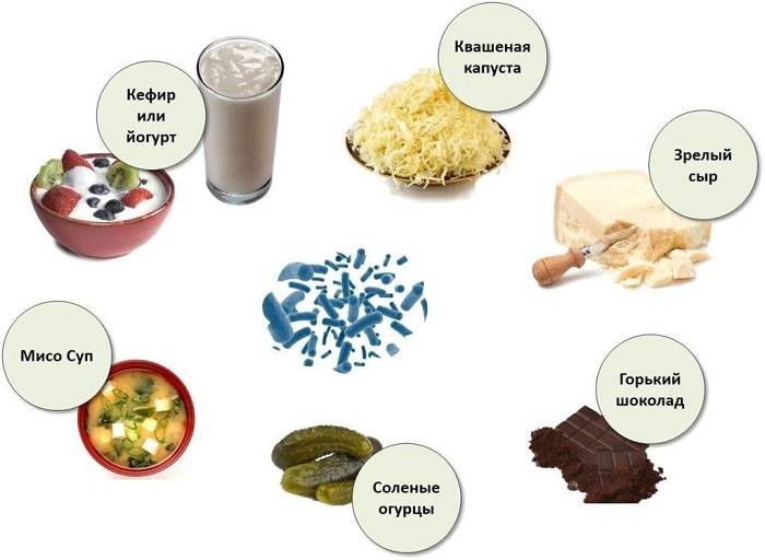 Продукты, в которых содержатся пробиотики