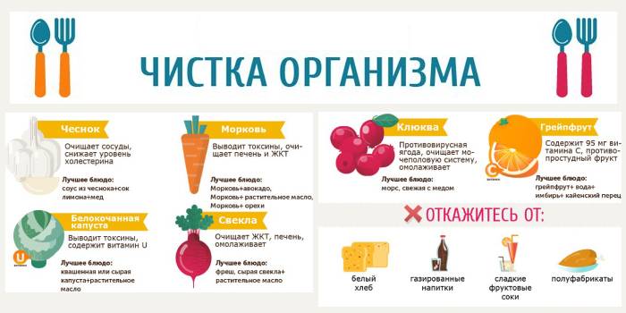 Выводить шлаки. Продукты для выведения токсинов. Как вывести токсины из организма. Как очистить организм. Выведение токсинов из организма.