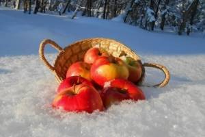 10 продуктов, повышающих иммунитет осенью и зимой