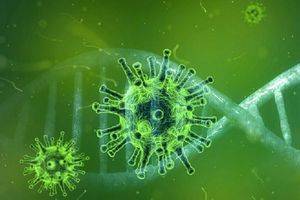 Мифы о коронавирусе, от которых погибали люди