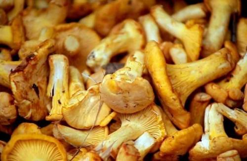 Как мариновать грузди