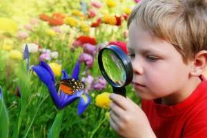 Преимущества знакомства детей с природой