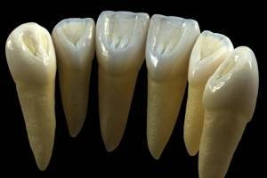 9 мифов о зубах