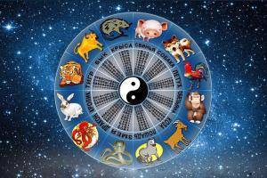 Китайские знаки зодиака по месяцам для астрологического фэн-шуй