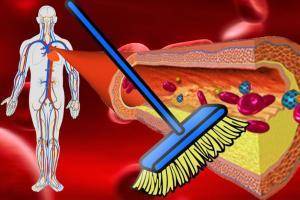 10 продуктов, очищающих артерии