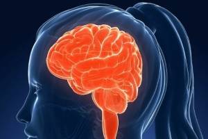 Физическая или умственная деятельность: что лучше для здоровья мозга