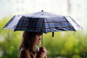 6 правил выбора надежного зонта