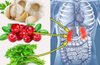 7 лучших продуктов для очищения почек