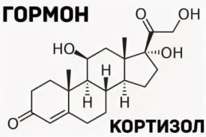 9 интересных фактов о кортизоле