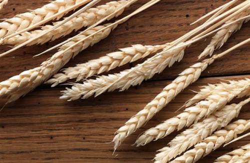 В каких продуктах содержится глютен