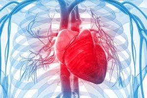 9 главных мифов о заболеваниях сердца
