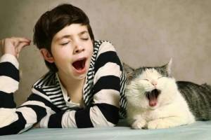 Почему человек зевает, заразительно ли это