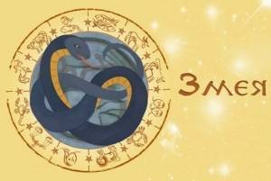 Китайский гороскоп Змеи на 2023 год