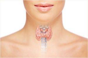 5 признаков того, что у вас проблемы со щитовидной железой