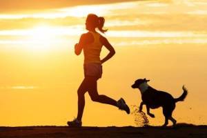 10 лучших пород собак для тех, кто бегает по утрам