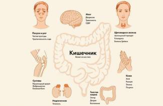 7 признаков что у вас больной кишечник