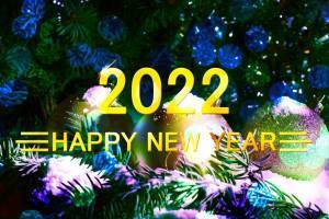 8 счастливых новогодних цветов для встречи 2022 года