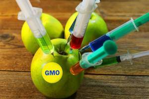 ГМО: плюсы и минусы, подтвержденные наукой