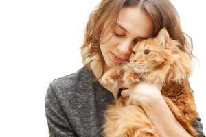 10 фактов, которые должны знать любители кошек