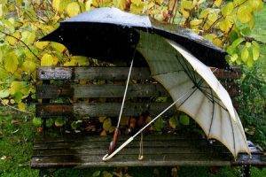 Как сушить зонт в офисе и гостях