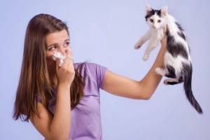 Причины появления запаха у кошки
