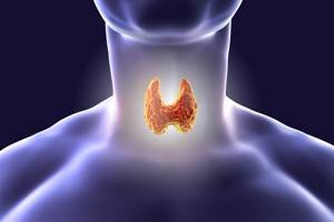 Что вам нужно знать о заболеваниях щитовидной железы
