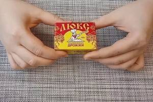 3 способа хранения дрожжей