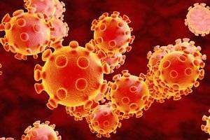 9 развенчанных мифов о коронавирусе