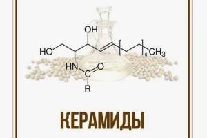 Что такое керамиды
