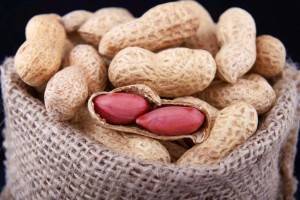Поможет ли раннее знакомство с арахисом избежать аллергии в будущем