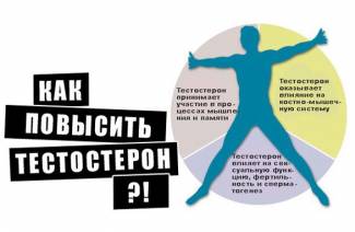 Как у мужчин повысить тестостерон