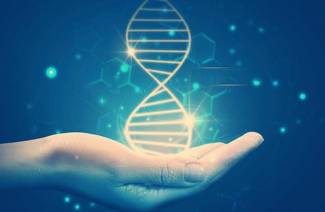 Что такое ДНК