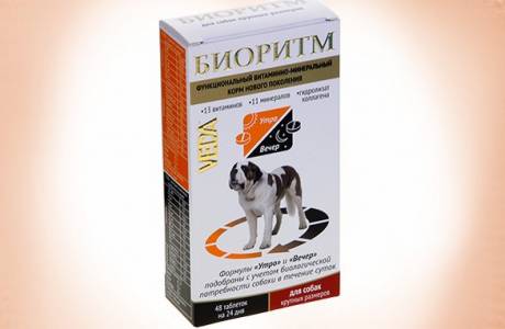 Витамины для щенков крупных пород