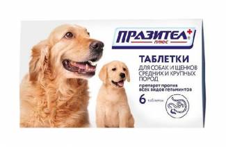 Празител