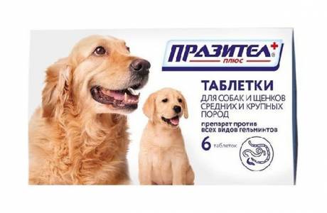 Празител