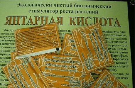 Янтарная кислота для комнатных растений
