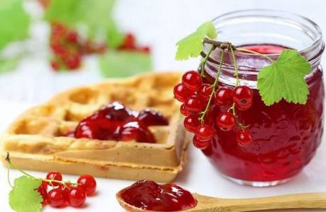 Рецепт желе из красной смородины