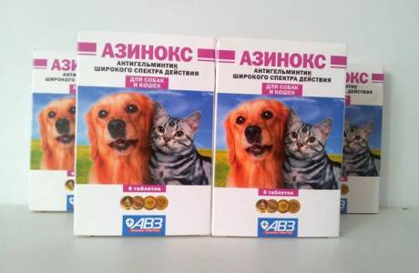 Таблетки от глистов для собак