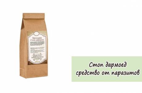 Стоп Дармоед