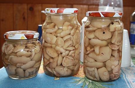 Как мариновать вкусные грибы на зиму
