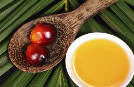 Что такое пальмовый олеин