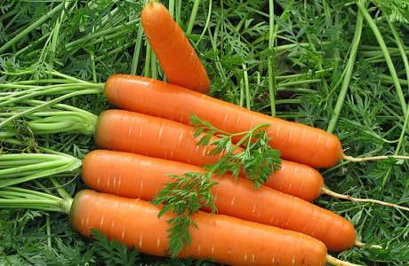 Салат из моркови на зиму