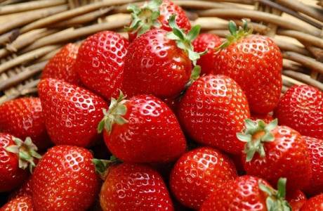 Польза и вред для здоровья клубники