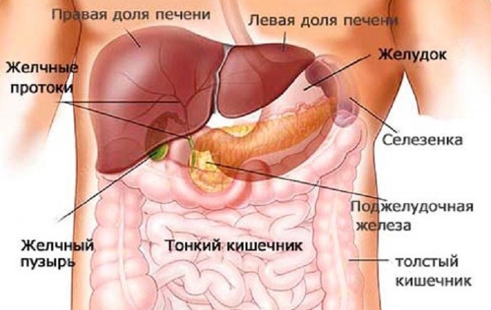 масло после удаления желчного пузыря