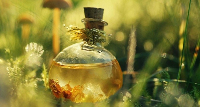 ����� ����� ������ ������� ����