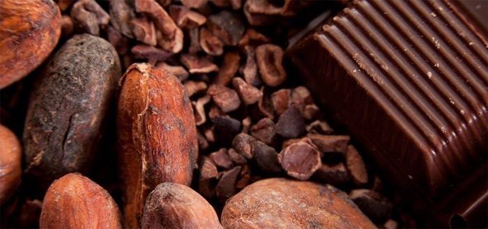Какао-бобы способствуют похудению