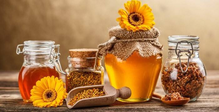 Орехи и мед помогут справиться с переутомлением